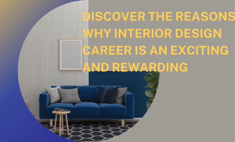 interior design career