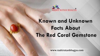 Photo of Known and Unknown Facts About The Red Coral Gemstone