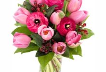 Photo of Online Flower Delivery In Chennai For Huge Surprise You Love