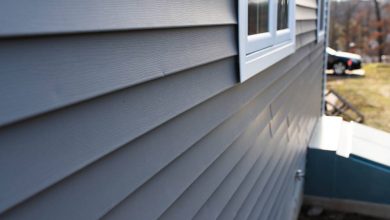 Photo of What Keeps Mold from Coming Back on Vinyl Siding in Indiana?