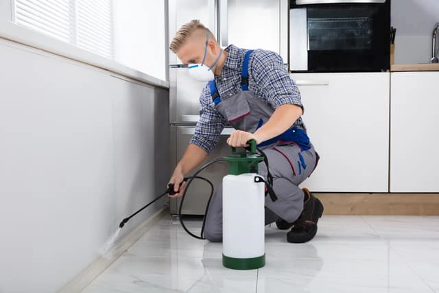 kirk land wa pest control