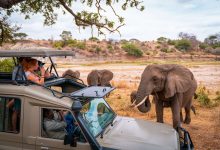 Photo of In the Driver’s Seat: Exploring Tanzania’s Wild Heart by Road