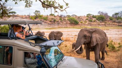 Photo of In the Driver’s Seat: Exploring Tanzania’s Wild Heart by Road