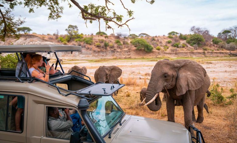 tanzania