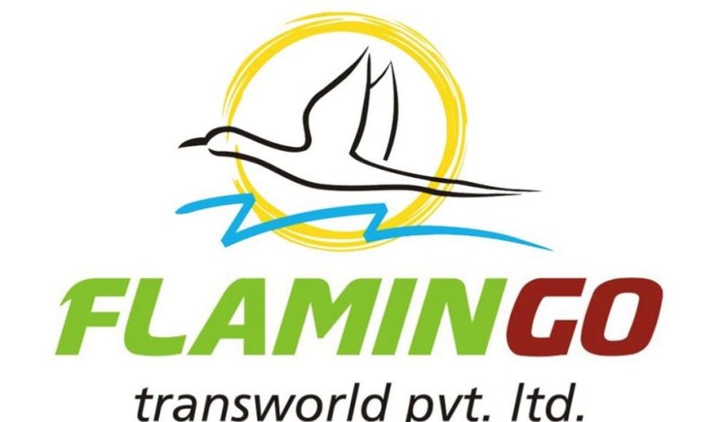 flamingotravels
