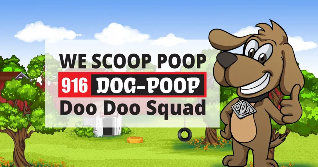 Poop Scooping
