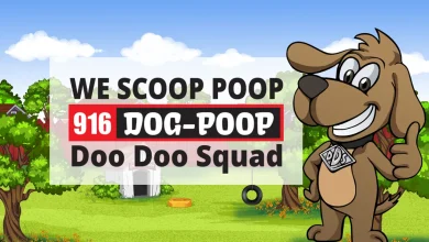 Photo of Why Auburn Pet Owners Are Hiring Poop Scooping Pros